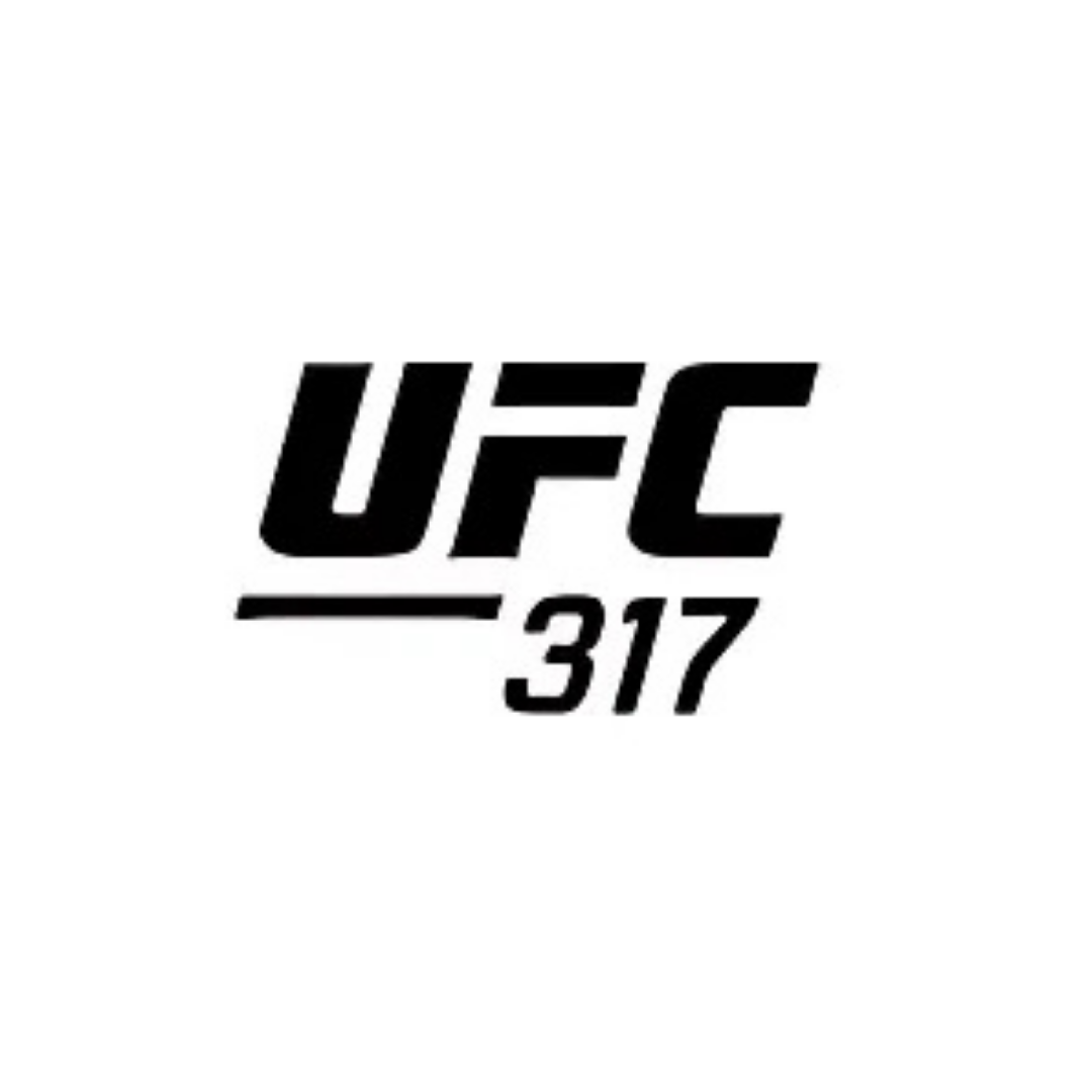 UFC 317